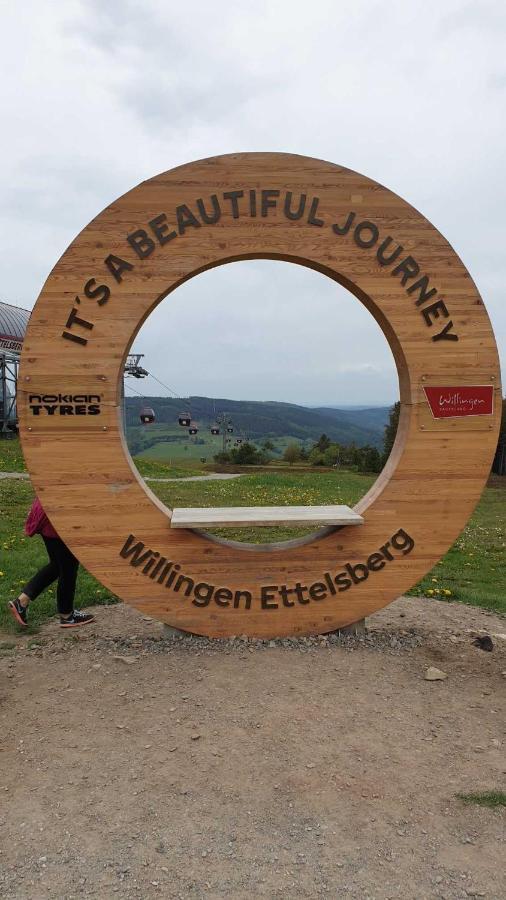 Ferienwohnung Mohnwiese Und Blumenwiese Willingen  Eksteriør bilde