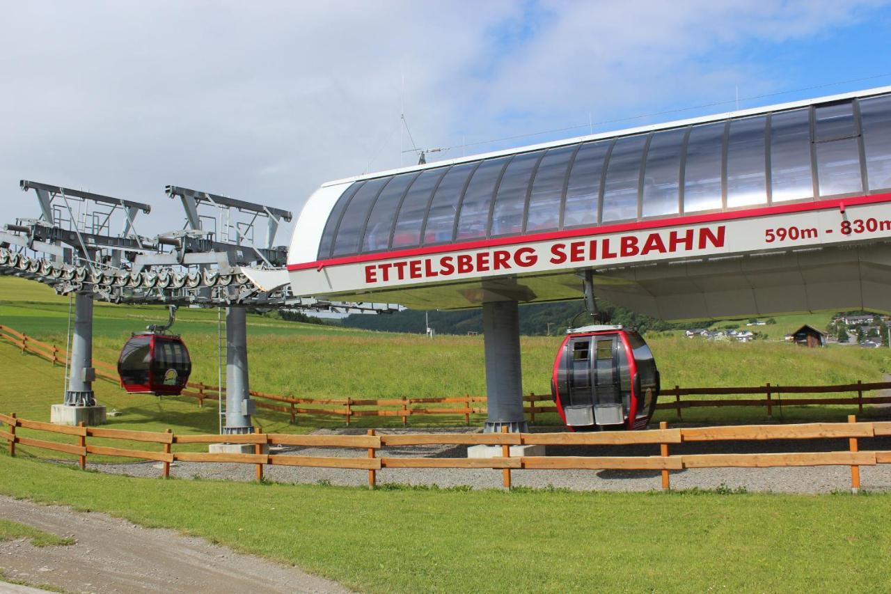 Ferienwohnung Mohnwiese Und Blumenwiese Willingen  Eksteriør bilde